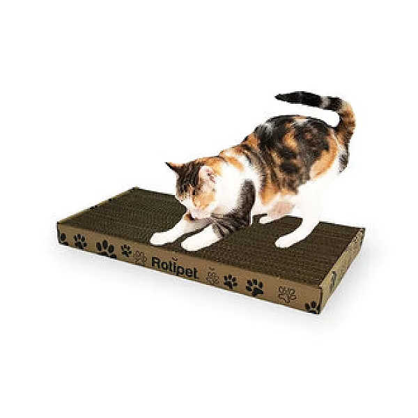 Reyondan Kedi Tırmalama Tahtası 2011