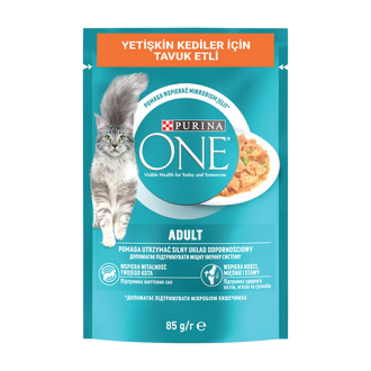 Purina One Yetişkin Kedi Maması Tavuk & Fasulye 85 g