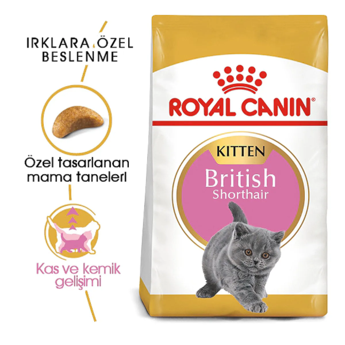 Royal Canin British Shorthair Yavru Kedi Maması 2 kg