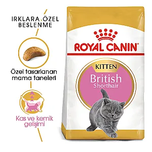 Royal Canin British Shorthair Yavru Kedi Maması 2 kg - 3