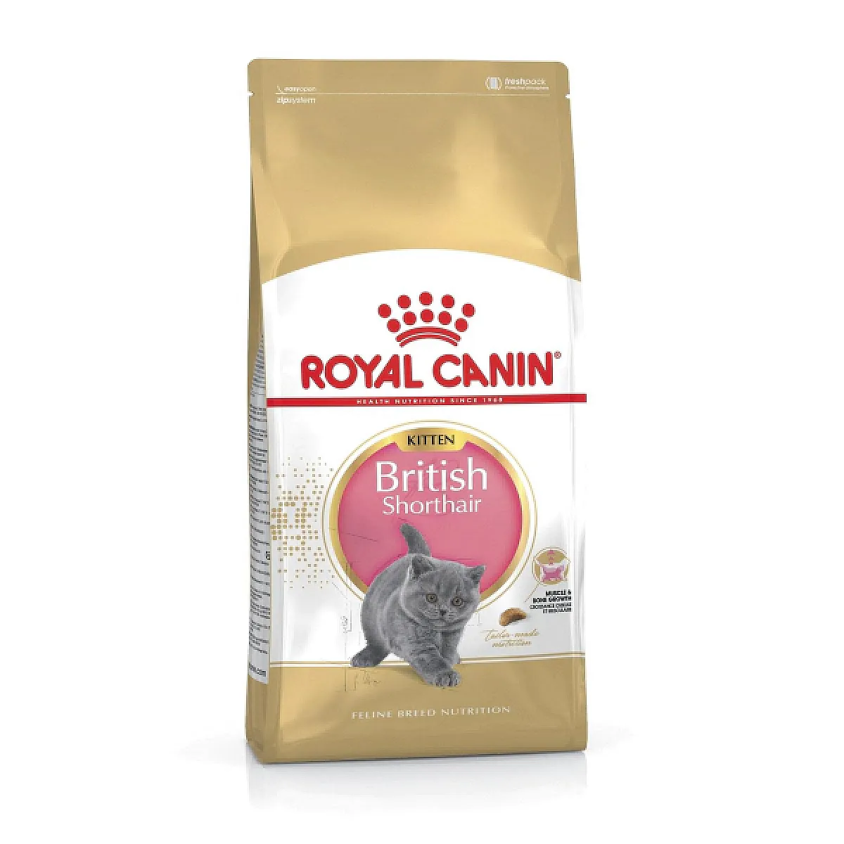 Royal Canin British Shorthair Yavru Kedi Maması 2 kg
