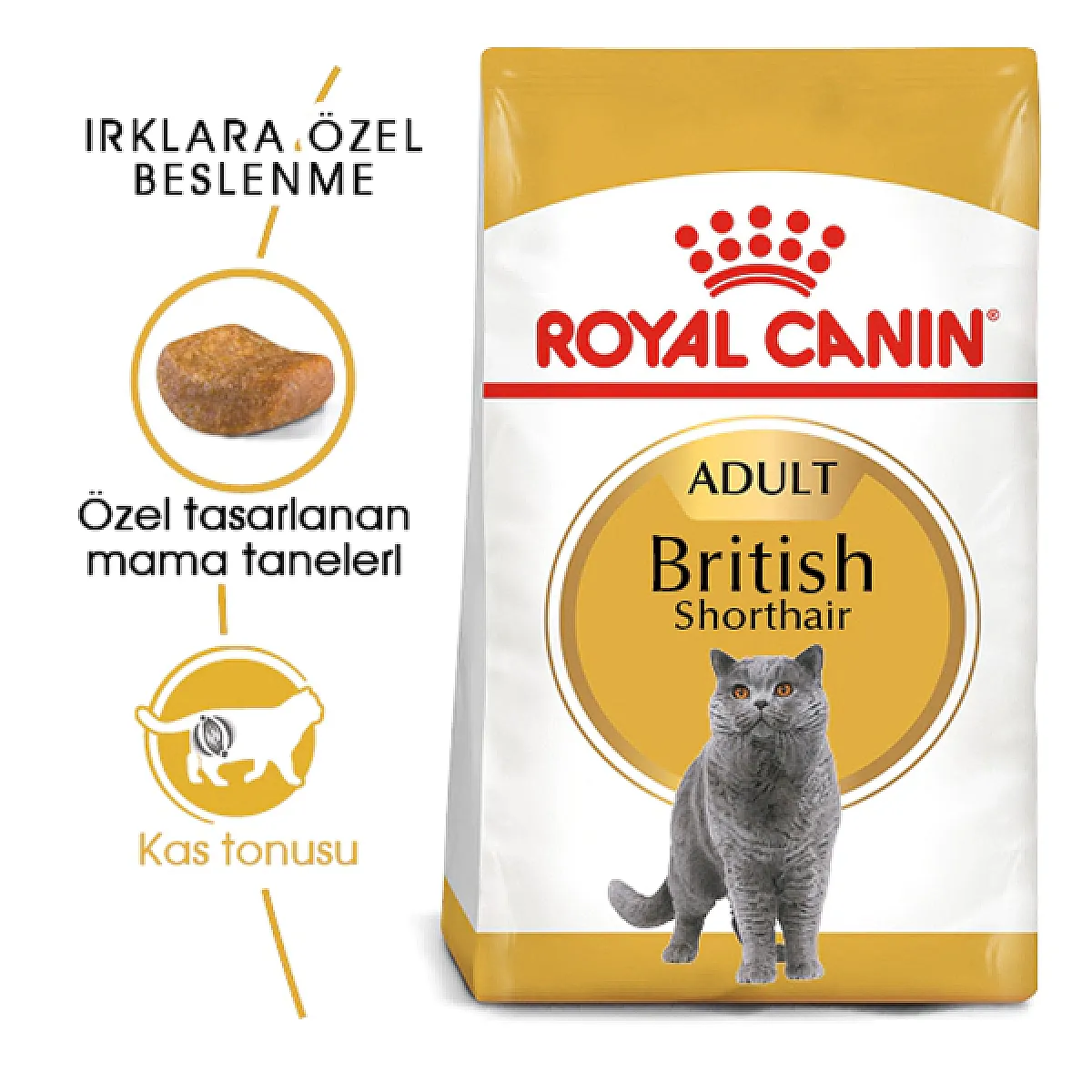 Royal Canin British Shorthair Yetişkin Kedi Maması 2 kg