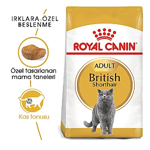 Royal Canin British Shorthair Yetişkin Kedi Maması 2 kg - 3