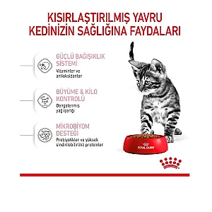 Royal Canin Kısırlaştırılmış Yavru Kedi Maması 2 kg - 3