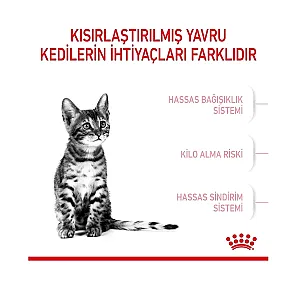 Royal Canin Kısırlaştırılmış Yavru Kedi Maması 2 kg - 4