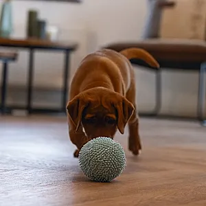 Beeztees Yavru Köpek Oyuncağı Peluş Top - 2
