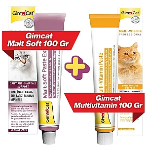 GimCat Malt Soft Extra 100 g + Multivitamin Professional 100 g Kedi Macunu Seti