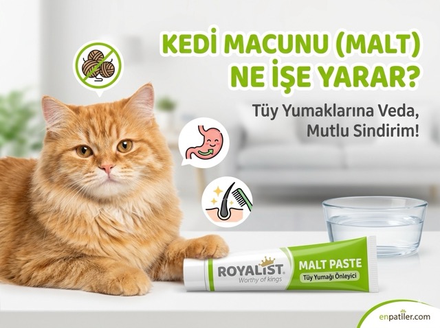 Kedi macunu ne işe yarar blog - Royalist Malt Paste ve sarman kedi - enpatiler.com