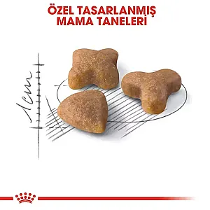 Royal Canin Sensible 33 - Sindirim Hassasiyeti Olan Yetişkin Kedi Maması 15 kg - 2