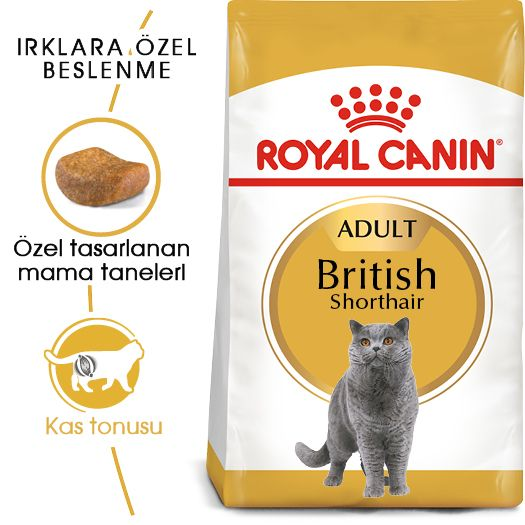 Royal Canin British Shorthair Adult - Irka Özel Yetişkin Kedi Kuru Maması - 2