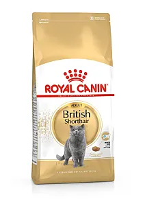 Royal Canin British Shorthair Adult - Irka Özel Yetişkin Kedi Kuru Maması - 1