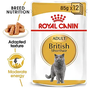 Royal Canin British Shorthair Yetişkin Kedi Yaş Maması 85 gr - 3