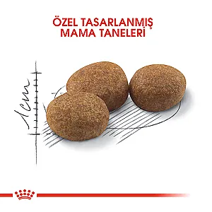 Royal Canin Sterilised 37 - Kısırlaştırılmış Yetişkin Kediler İçin Dengeli Kuru Mama 2 kg - 2