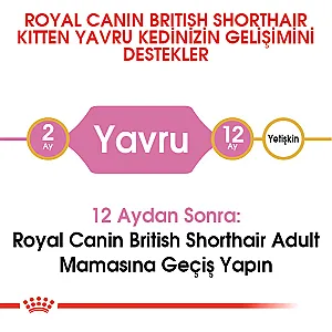 Royal Canin British Shorthair Yavru Kedi Maması 2 kg - 5