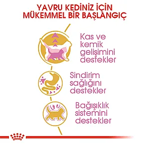 Royal Canin British Shorthair Yavru Kedi Maması 2 kg - 6
