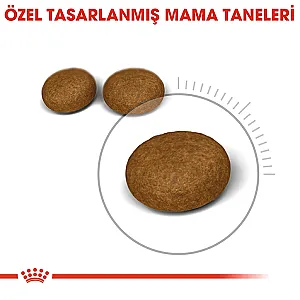 Royal Canin Hair & Skin Care - Deri ve Tüy Sağlığı Destekleyici Yetişkin Kedi Maması 2 kg - 4