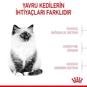 Royal Canin Kitten Bağışıklık Destekleyici Yavru Kedi Maması - 3