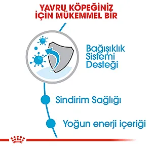 Royal Canin Mini Puppy Küçük Irk Yavru Köpek Kuru Maması - 3
