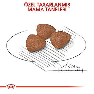 Royal Canin Mini Puppy Küçük Irk Yavru Köpek Kuru Maması - 5