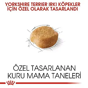 Tüy sağlığı - 3