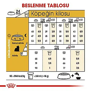 Tüy sağlığı - 4
