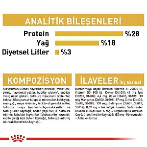 Tüy sağlığı - 5
