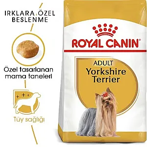 Tüy sağlığı - 6