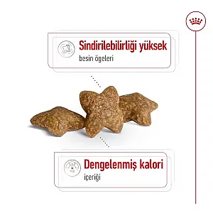 Royal Canin Mini Adult Küçük Irk Yetişkin Köpek Kuru Maması - 4