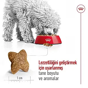 Royal Canin Mini Adult Küçük Irk Yetişkin Köpek Kuru Maması - 5
