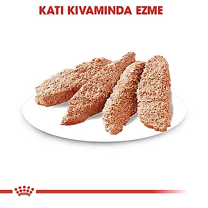 Royal Canin Exigent Loaf Seçici Köpeklere Özel Yaş Köpek Maması 85 gr - 3