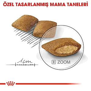 Royal Canin Mini Exigent Seçici Küçük Irk Yetişkin Köpek Maması 3 kg - 3