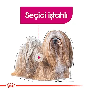 Royal Canin Mini Exigent Seçici Küçük Irk Yetişkin Köpek Maması 3 kg - 4