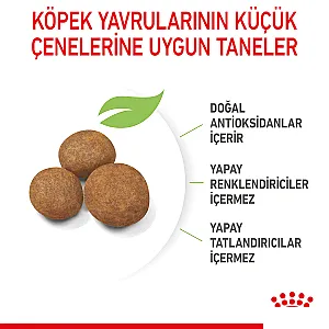 Royal Canin Maxi Puppy Büyük Irk Yavru Köpek Maması 15 kg - 4