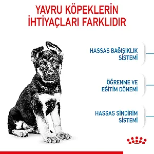 Royal Canin Maxi Puppy Büyük Irk Yavru Köpek Maması 15 kg - 5