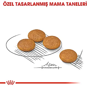 Royal Canin Mini Dermacomfort Yetişkin Köpek Maması 3 kg - 3