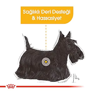 Royal Canin Mini Dermacomfort Yetişkin Köpek Maması 3 kg - 5