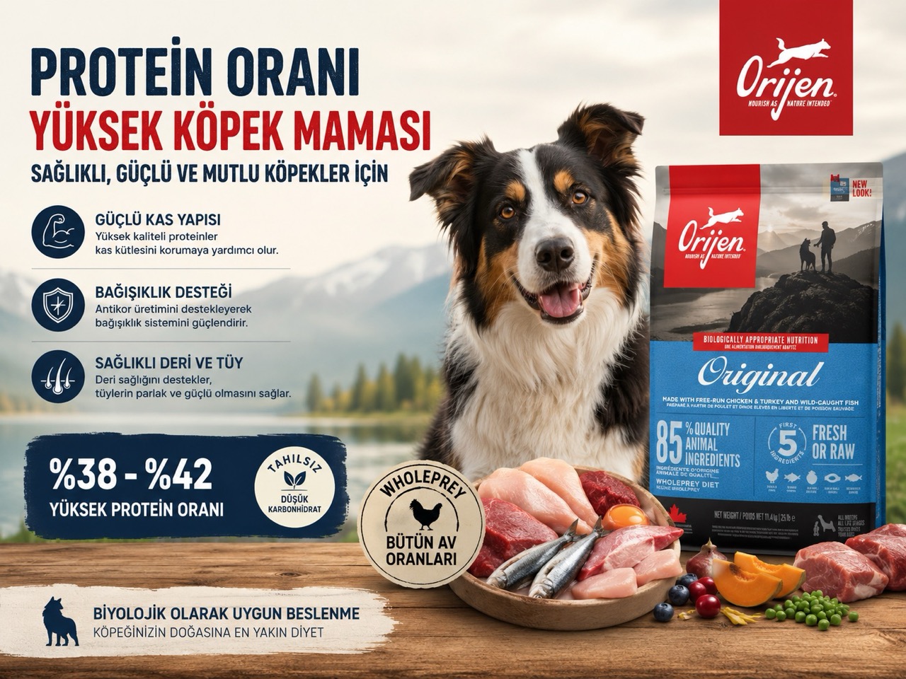 protein-orani-yuksek-orijen-kopek-mamasi.jpg