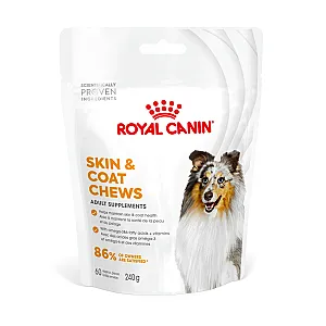 Royal Canin Deri ve Tüy Sağlığı Destekleyici Tamamlayıcı Yetişkin Köpek Ödül Maması 240gr - 1
