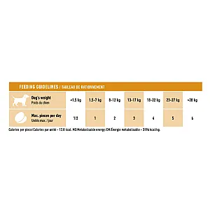 Royal Canin Deri ve Tüy Sağlığı Destekleyici Tamamlayıcı Yetişkin Köpek Ödül Maması 240gr - 2