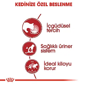 Royal Canin Instinctive Jelly Yetişkin Kedi Yaş Maması 85 g - 4