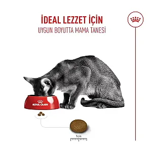 Royal Canin Fussy Exigent 35/30 Seçici Kedi Maması - 2