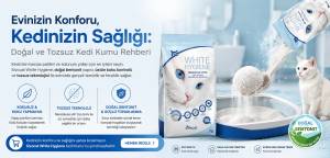 tozsuz kedi kumu
