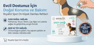Royalist Spot On Köpek Damlası