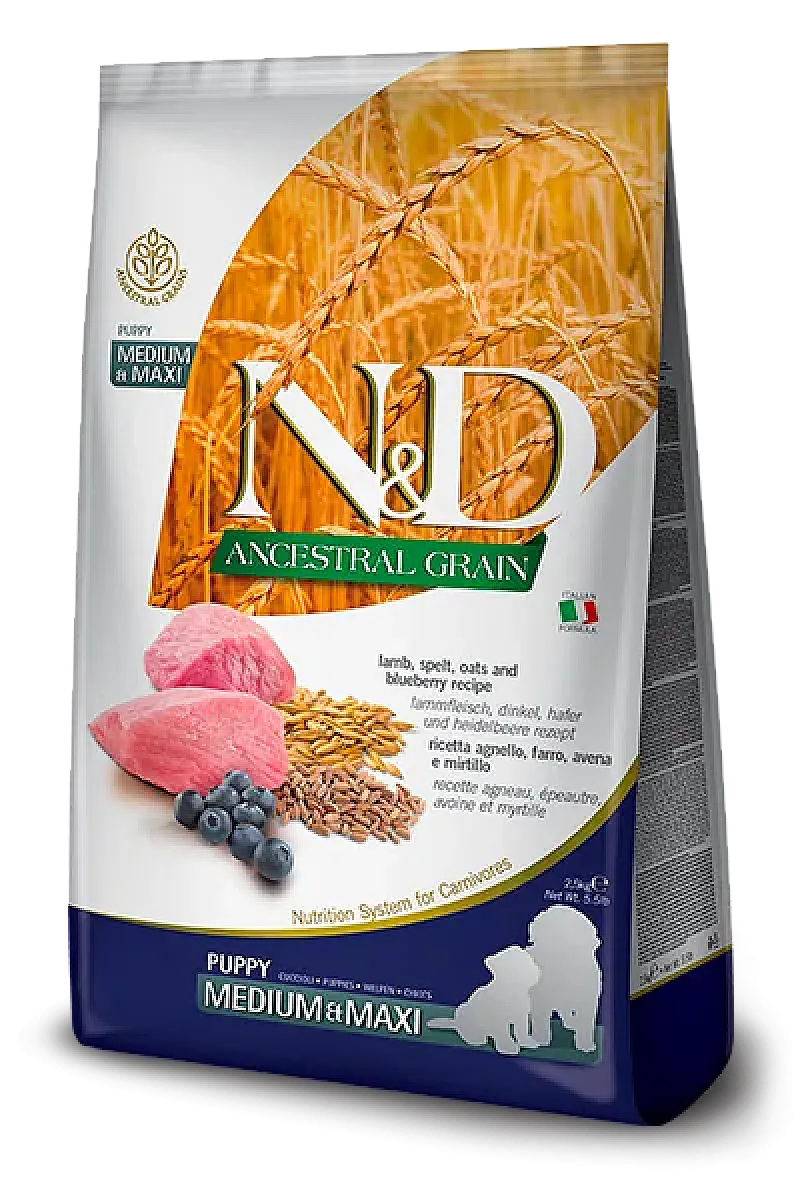 N&D Ancestral Grain Kuzu Etli ve Yaban Mersinli Orta ve Büyük Irk Yavru Köpek Maması