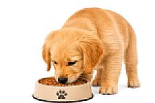 Köpek Maması