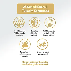 Felicia Hipoalerjenik Orta ve Büyük Irk Kuzulu Düşük Tahıllı Yetişkin Köpek Maması 15kg - 6