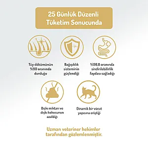 Felicia Hipoalerjenik Kolajen Destekli Somonlu Kısırlaştırılmış Kedi Maması 5 kg - 5