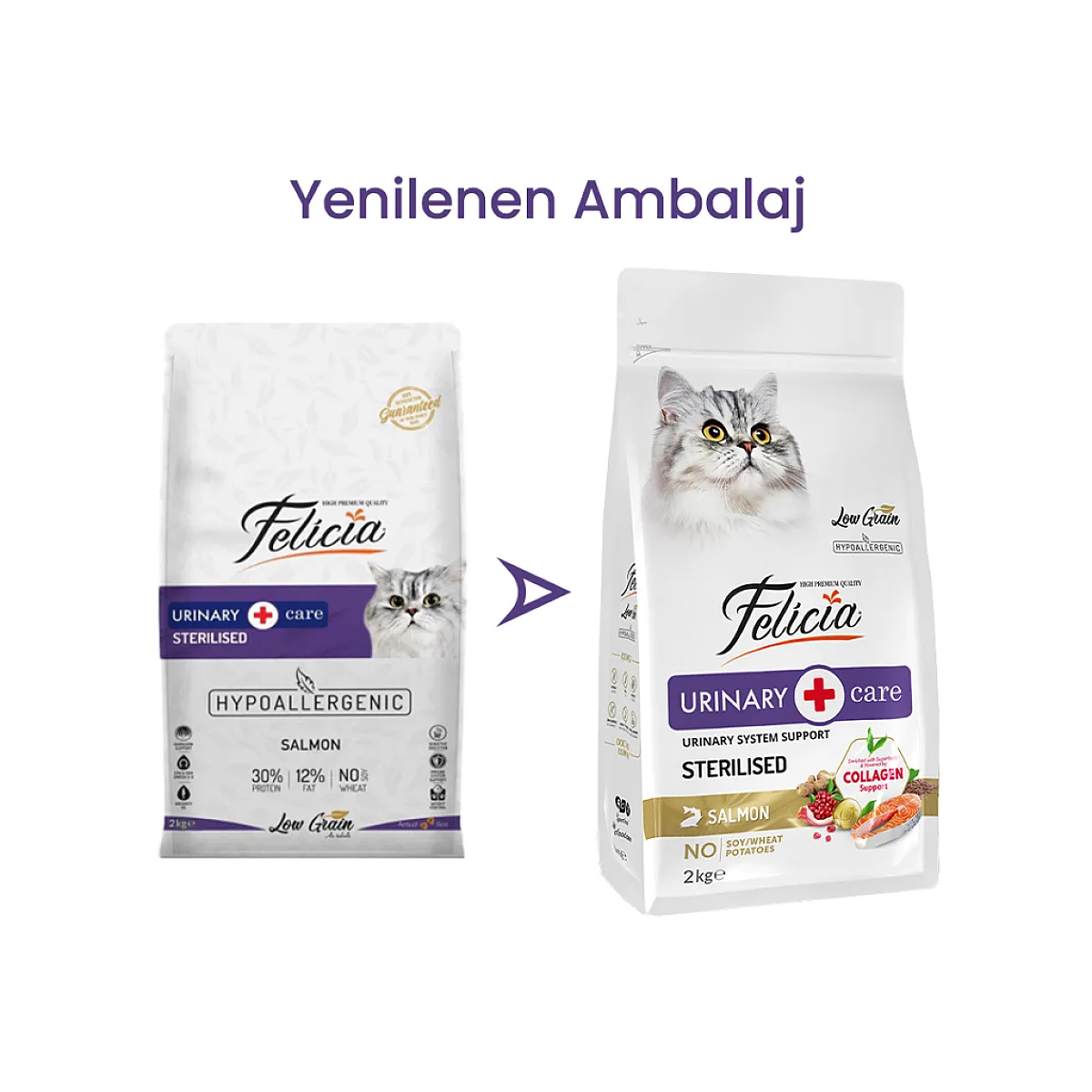 Felicia Hipoalerjenik Üriner Sağlığı İçin Somonlu Düşük Tahıllı Kısırlaştırılmış Kedi Maması 2 kg