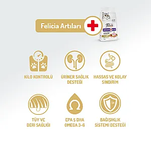 Felicia Hipoalerjenik Üriner Sağlığı İçin Somonlu Düşük Tahıllı Kısırlaştırılmış Kedi Maması 2 kg - 3