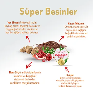 Felicia Hipoalerjenik Üriner Sağlığı İçin Somonlu Düşük Tahıllı Kısırlaştırılmış Kedi Maması 2 kg - 4